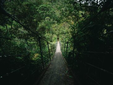 Doğu Anadolu Rotaları: Bütçe Kamp ve Trek Rehberi