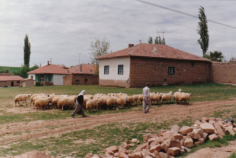 Doğu Anadolu bölgesindeki yayla ve tarım faaliyetlerini gösteren manzara