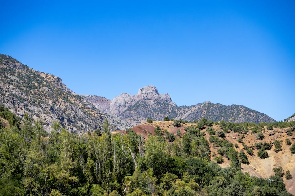 Doğu Anadolu'da dağlar ve yol manzarası