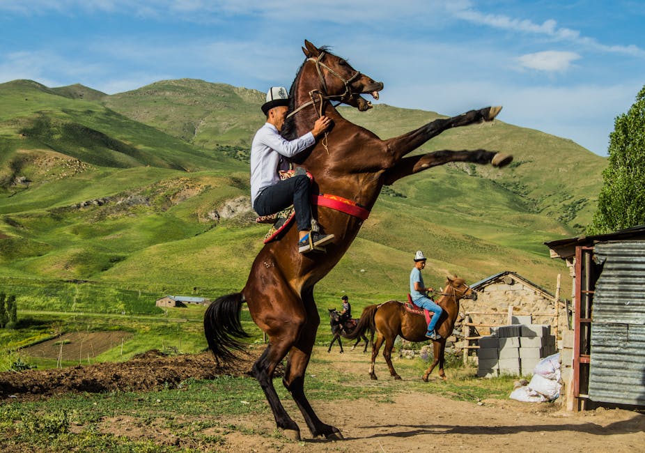 Doğu Anadolu'da köy manzarası ve tarım alanları