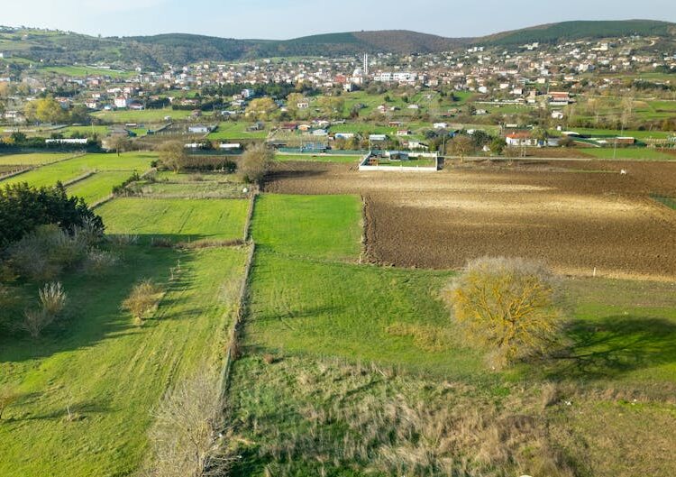 Ekoturizm Köy Rotaları: Bütçe Dostu Konaklama ve Tarımsal Deneyimler