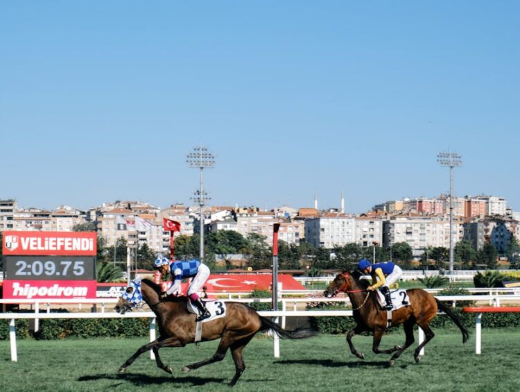 İstanbul Çevresinde Bütçe Dostu Mikro Şehir Turları
