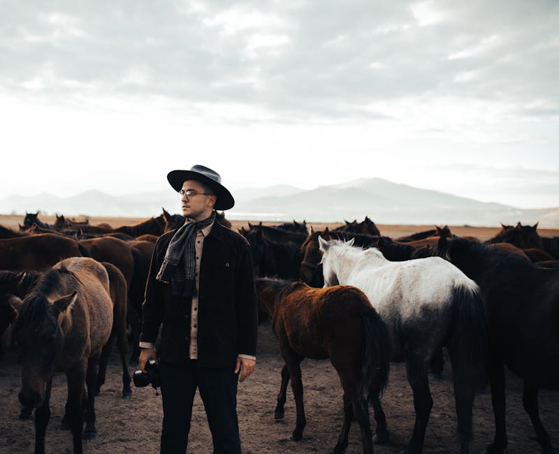 İstanbul'dan Doğu Anadolu'ya giden yol ve dağ manzarası