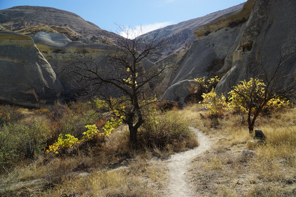 Kapadokya vadilerinde yürüyen gezginler güneşli bir günün tadını çıkarıyor