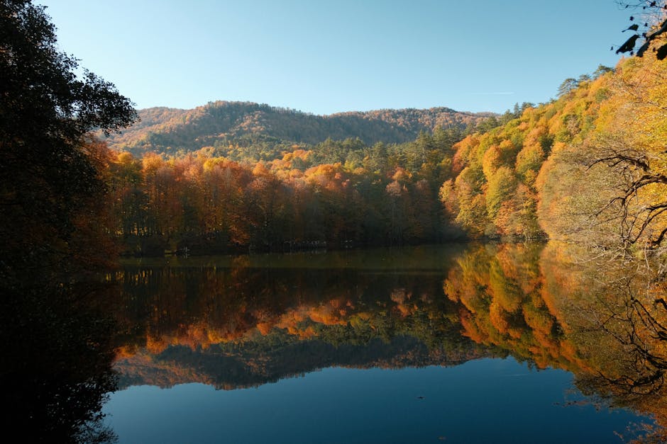 Yedigöller milli parkında kamp yapan ziyaretçiler ve göl manzarası