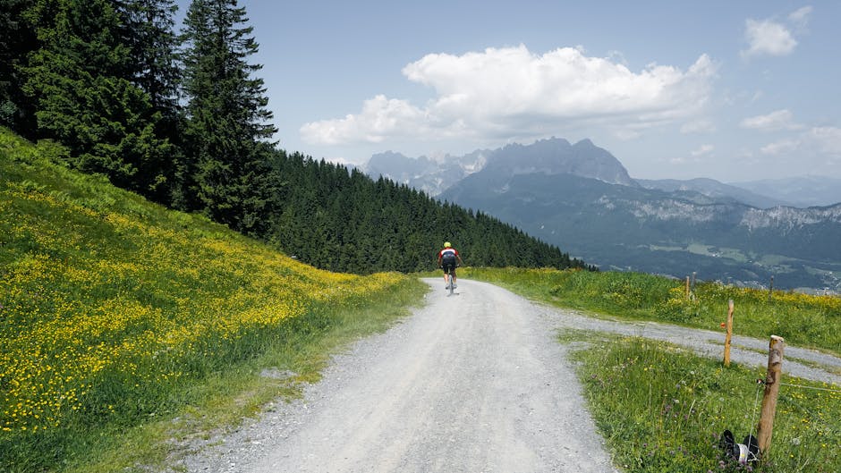 Avusturya Alpleri boyunca bisiklet rotası ve dağ manzaraları