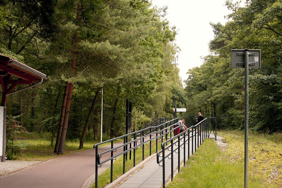 Engelli yürüyüşe uygun parkurda trekking yapan grup