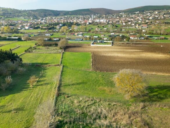 Gizli Şarap Rotaları: Köy Kamplarında Bütçe Tadımı