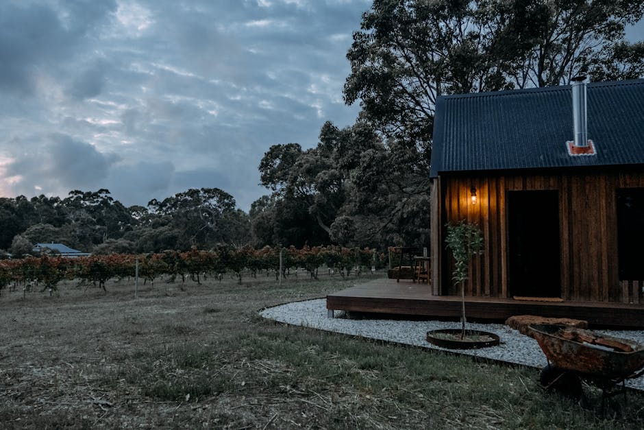 İstanbul'dan başlayıp Türkiye'nin az bilinen şarap rotalarında bağ evi manzarası