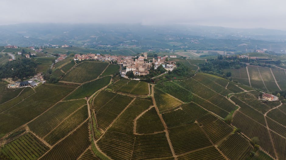 İtalyan köyünde üzüm bağları ve kamp manzarası