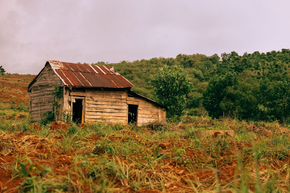 Kırsal alanda zaman atlamalı çekim kurulumu için teknik ipuçları ve ekipman.