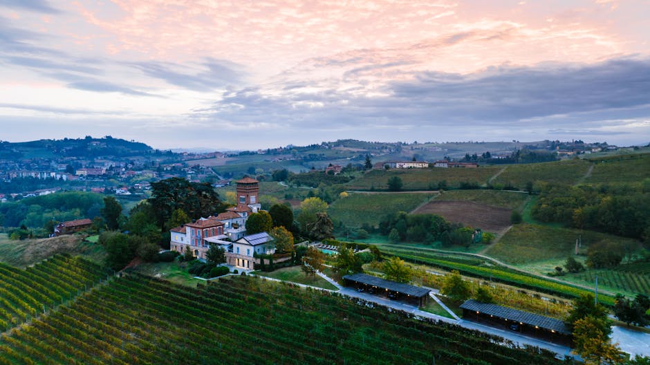 Kırsal köy şarap bağları ve vadinin manzarası