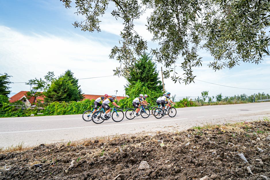 Kırsalda dağ bisikleti rotası manzarası