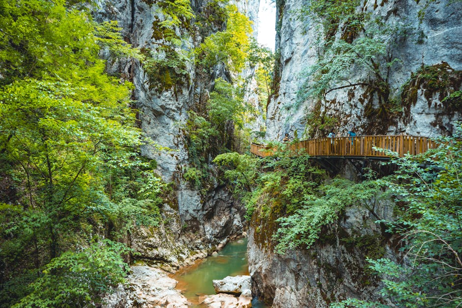 Kuzey Anadolu'nun dağlık manzarasında yürüyüş yapan fotoğrafçı