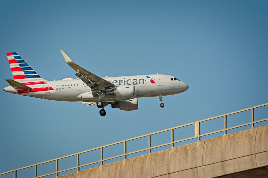 New York'ta havaalanına varış yapan yolcular