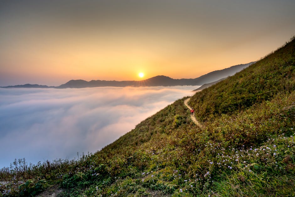Sabah gün doğumu sırasında dağlarda fotoğraf çeken yürüyüşçüler