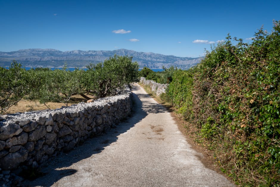 Adriatik kıyıları boyunca yürüyüş yapan gezginler
