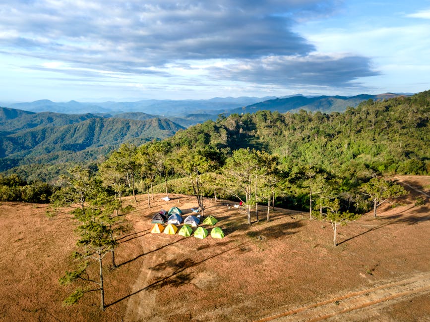 Dağ kampı sabahı ve çadırlar doğa ile iç içe bir manzarada