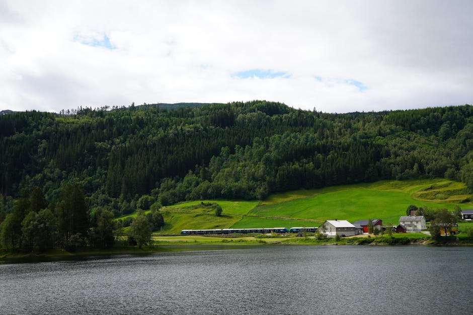 Avrupa kırsalında tren yolculuğu manzarası, pencereden dışarı bakış