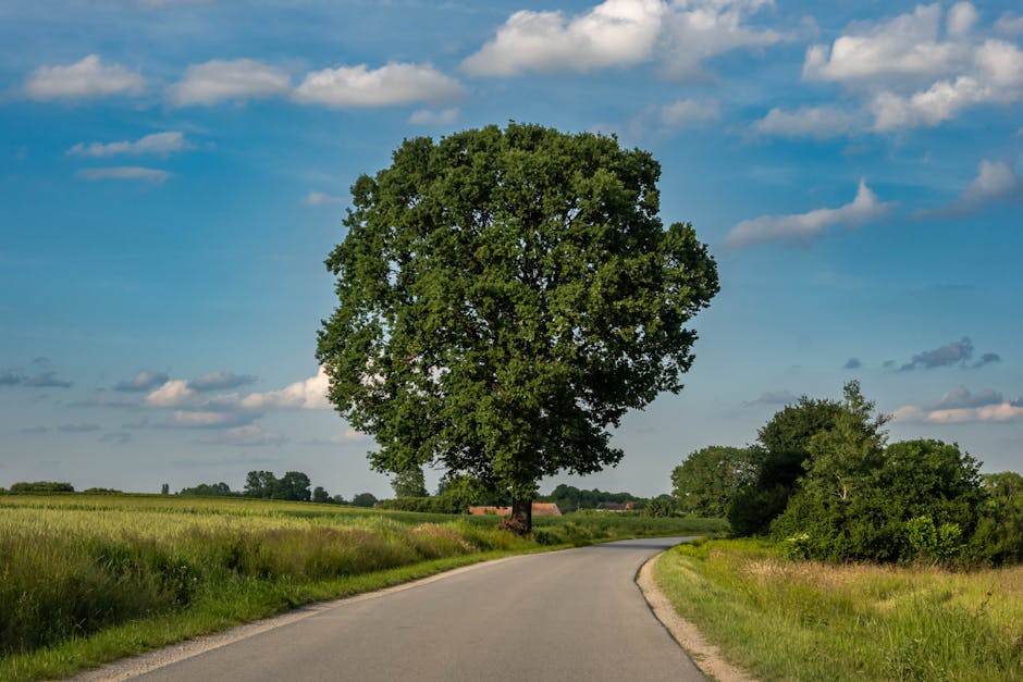 Avrupa ülkelerine uzanan kırsal yolculuk ve köy rotaları