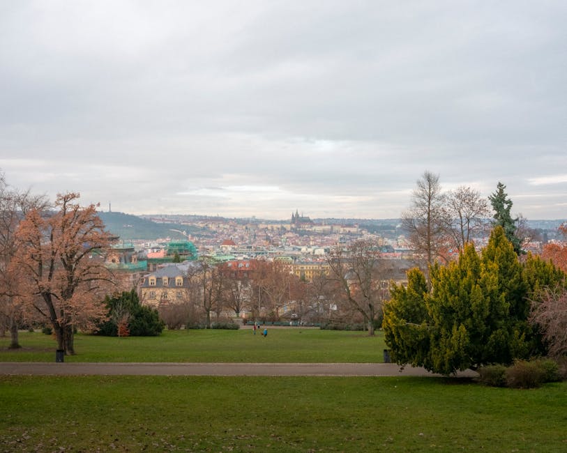 Avrupa'da doğa parkında yeşillikler ve yürüyüş yolu