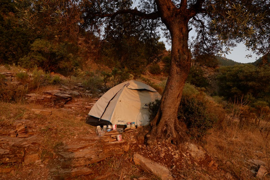 Diyarbakır surlarına yakın kamp yapılan bir sahne