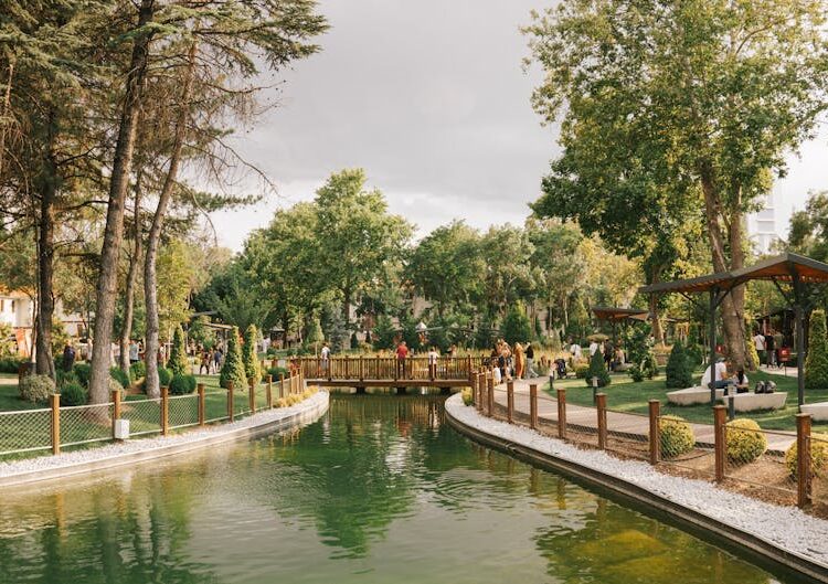 İstanbul gezi rotaları: Doğa ve Lezzet Odaklı Yavaş Tur