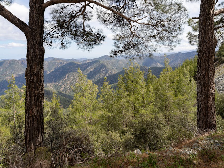 Kıbrıs köylerinde doğa yürüyüşü patikası