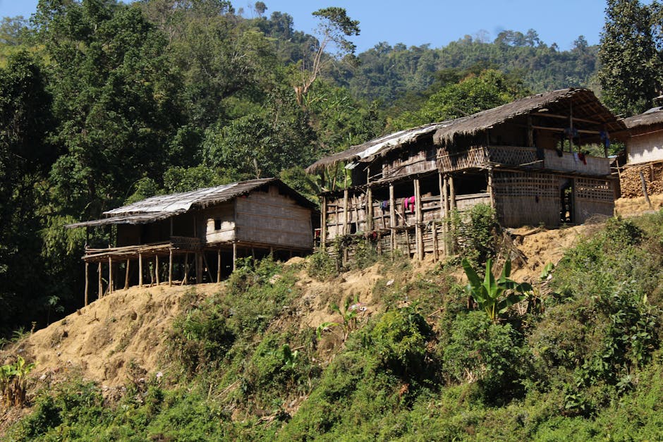 Köy konaklama ortamını gösteren manzaralı kare