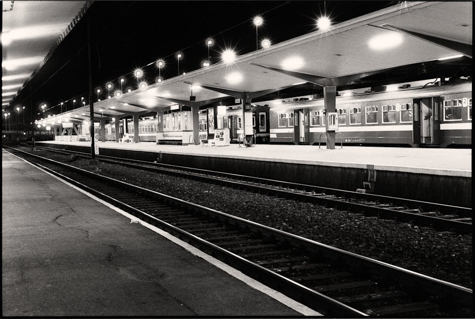 Münih tren platformunda bavuluyla yolcular