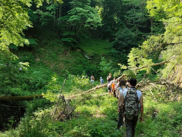 İstanbul'dan Avrupa Ülkeleri'ne Doğa Temelli Vatandaş Bilimi Rotası