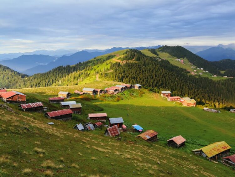 Karadeniz Köy Kamplarıyla Bütçe Dostu Doğa Rotaları