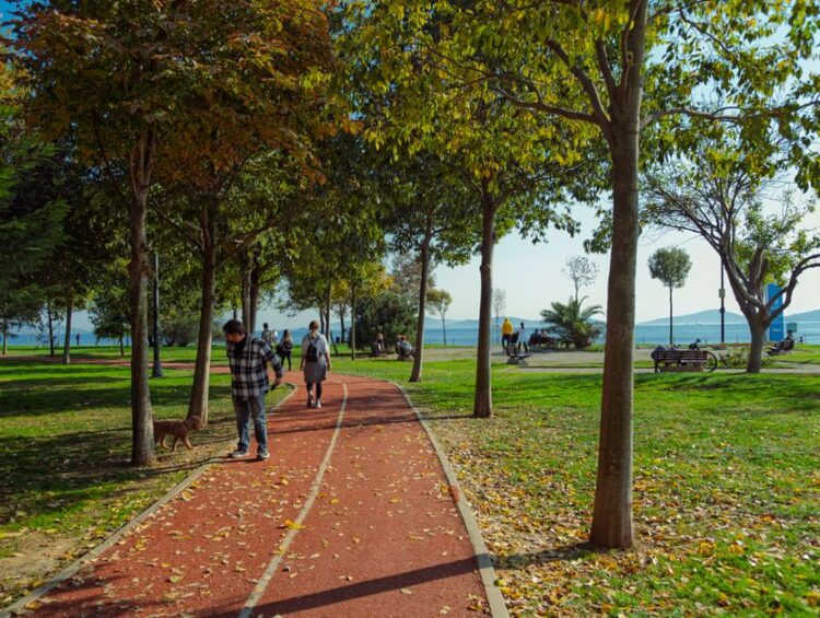 İstanbul'dan ABD'de Bütçe Şehir Rotası: 5 Şehirlik Yürüyüş Planı