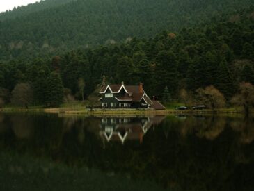 İstanbul Karadeniz Rotası: Orman Evi Konaklamasıyla Bütçe Yolculuğu