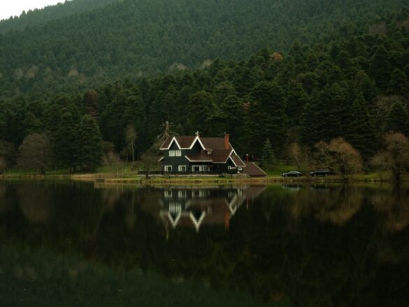 İstanbul Karadeniz Rotası: Orman Evi Konaklamasıyla Bütçe Yolculuğu