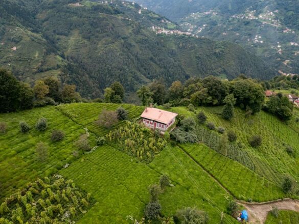 İstanbul'dan Karadeniz Köy Rotası: Bütçe ve Doğa Gezisi
